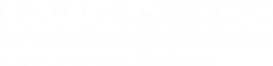 wisdom digital logo white